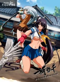 Poster Ikki Tousen : Dragon Destiny - Unchô Kan-u Et Shiryû Chôun